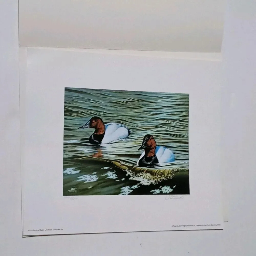 No Brand 2002 ducks